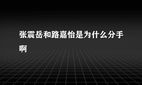 张震岳和路嘉怡是为什么分手啊