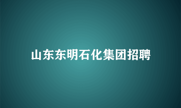 山东东明石化集团招聘