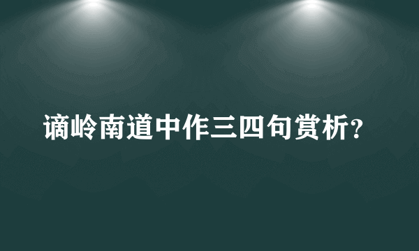 谪岭南道中作三四句赏析？