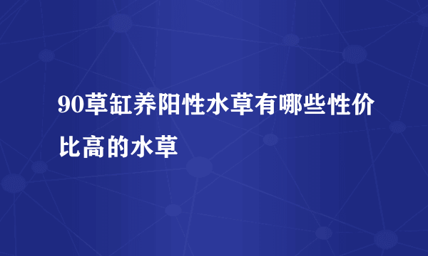 90草缸养阳性水草有哪些性价比高的水草