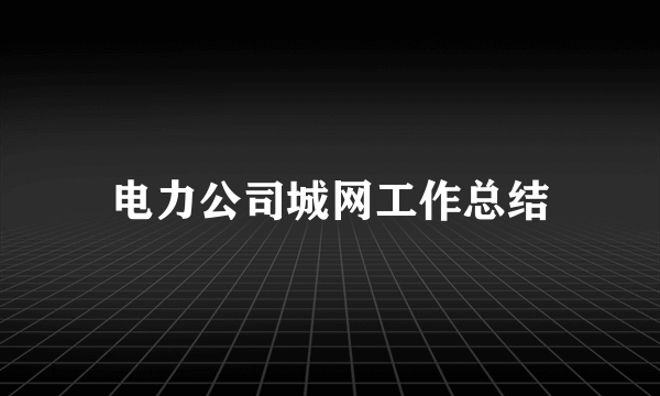 电力公司城网工作总结