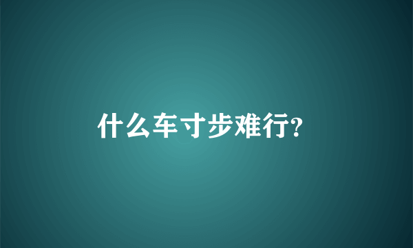 什么车寸步难行？