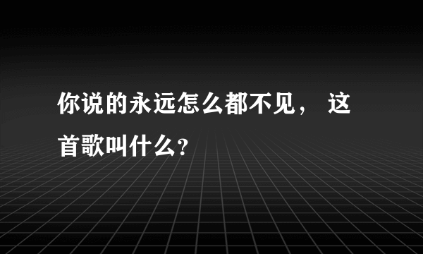 你说的永远怎么都不见， 这首歌叫什么？