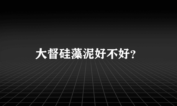 大督硅藻泥好不好？