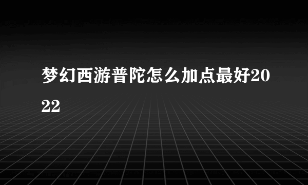 梦幻西游普陀怎么加点最好2022