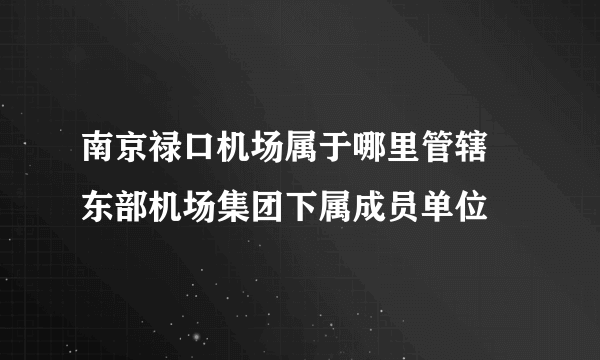 南京禄口机场属于哪里管辖 东部机场集团下属成员单位