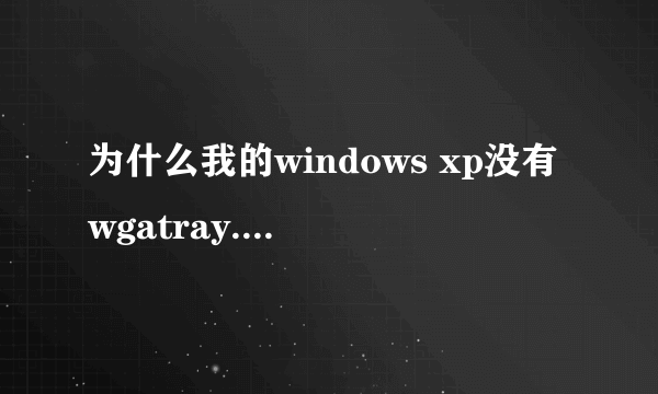 为什么我的windows xp没有wgatray.exe。想删除激活都不行，求大神解答