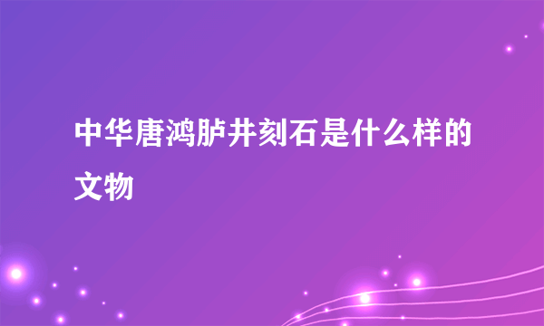 中华唐鸿胪井刻石是什么样的文物