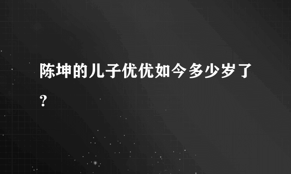 陈坤的儿子优优如今多少岁了？