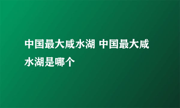 中国最大咸水湖 中国最大咸水湖是哪个