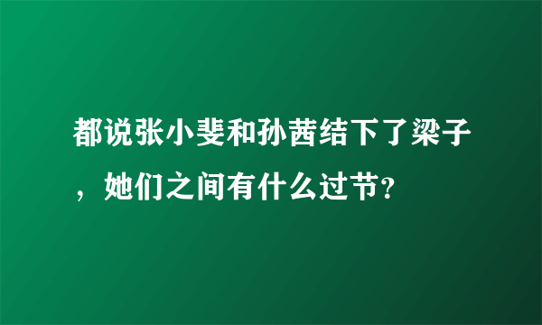 都说张小斐和孙茜结下了梁子，她们之间有什么过节？