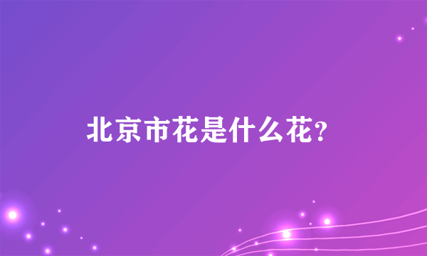 北京市花是什么花？