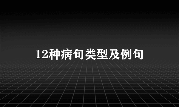 12种病句类型及例句