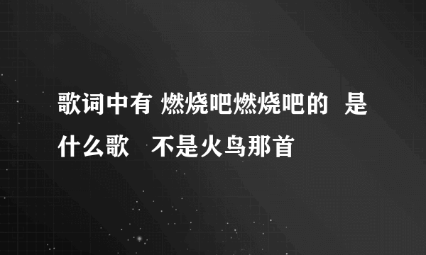 歌词中有 燃烧吧燃烧吧的  是什么歌   不是火鸟那首