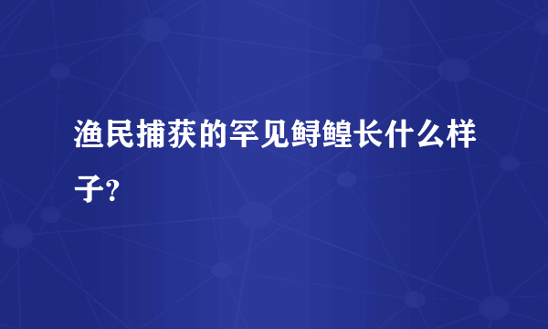 渔民捕获的罕见鲟鳇长什么样子？