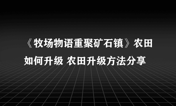 《牧场物语重聚矿石镇》农田如何升级 农田升级方法分享