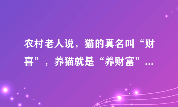 农村老人说，猫的真名叫“财喜”，养猫就是“养财富”，是真的吗