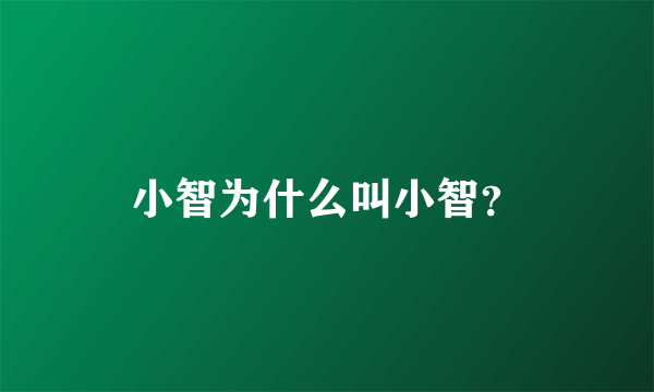 小智为什么叫小智？