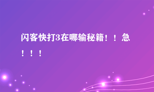 闪客快打3在哪输秘籍！！急！！！