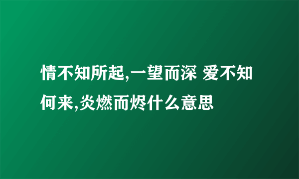 情不知所起,一望而深 爱不知何来,炎燃而烬什么意思