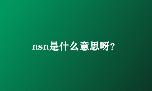 nsn是什么意思呀？