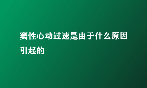 窦性心动过速是由于什么原因引起的