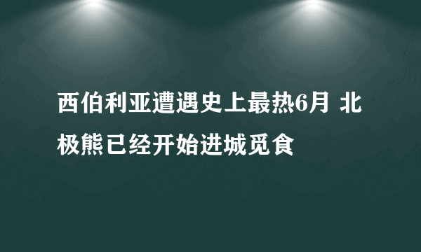 西伯利亚遭遇史上最热6月 北极熊已经开始进城觅食