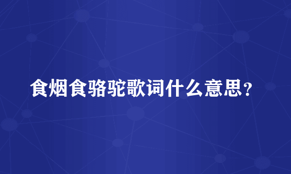 食烟食骆驼歌词什么意思？