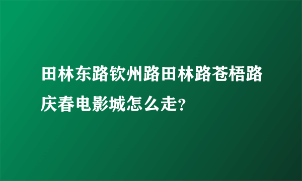 田林东路钦州路田林路苍梧路庆春电影城怎么走？