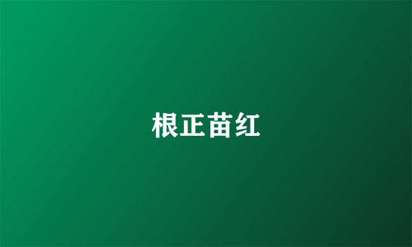 根正苗红