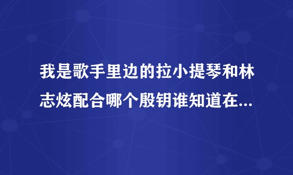 我是歌手里边的拉小提琴和林志炫配合哪个殷钥谁知道在那找到她资料啊？