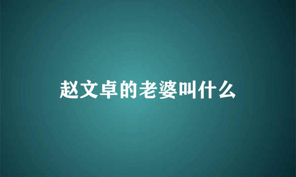 赵文卓的老婆叫什么