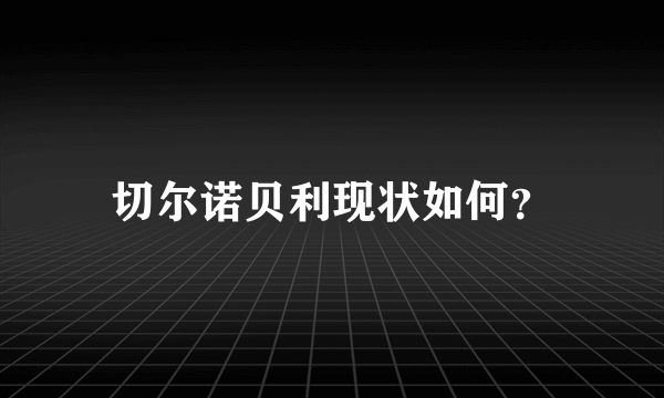 切尔诺贝利现状如何？