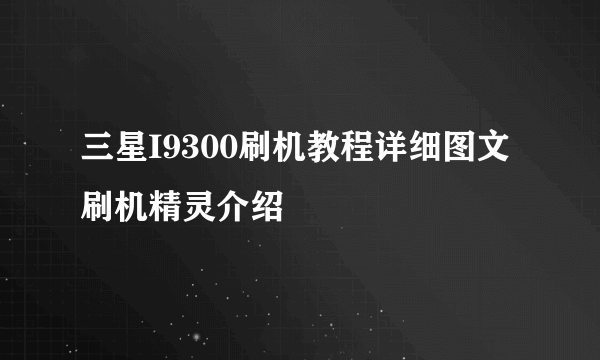 三星I9300刷机教程详细图文刷机精灵介绍