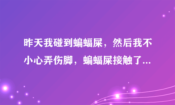 昨天我碰到蝙蝠屎，然后我不小心弄伤脚，蝙蝠屎接触了伤口，我会得狂犬病吗，狂犬病会间接传染吗