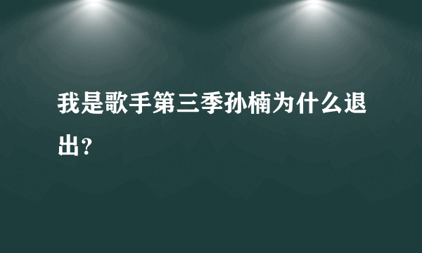 我是歌手第三季孙楠为什么退出？