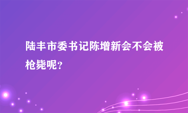 陆丰市委书记陈增新会不会被枪毙呢？