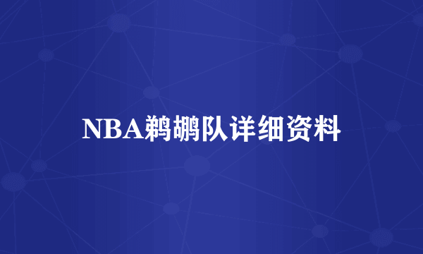 NBA鹈鹕队详细资料