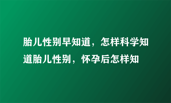 胎儿性别早知道，怎样科学知道胎儿性别，怀孕后怎样知