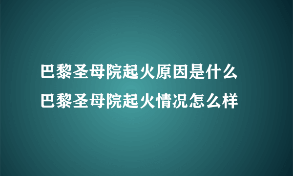 巴黎圣母院起火原因是什么  巴黎圣母院起火情况怎么样