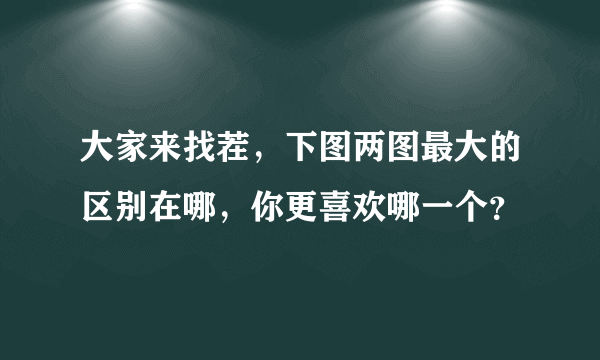 大家来找茬，下图两图最大的区别在哪，你更喜欢哪一个？