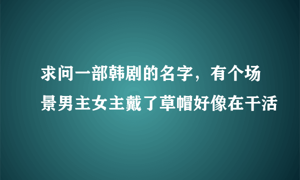 求问一部韩剧的名字，有个场景男主女主戴了草帽好像在干活