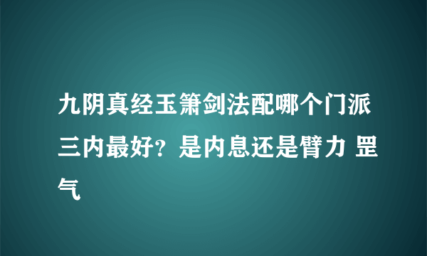 九阴真经玉箫剑法配哪个门派三内最好？是内息还是臂力 罡气