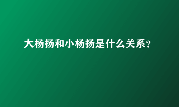 大杨扬和小杨扬是什么关系？