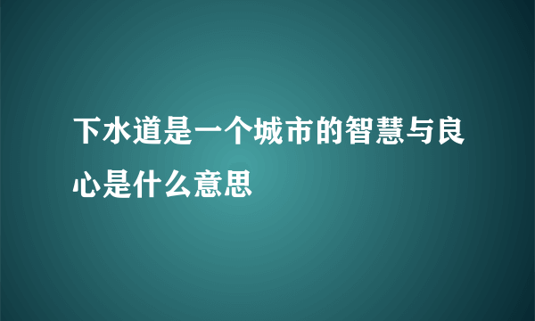 下水道是一个城市的智慧与良心是什么意思