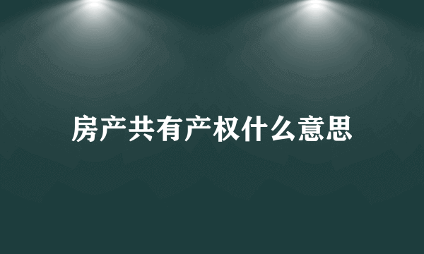 房产共有产权什么意思