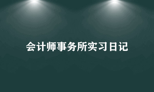 会计师事务所实习日记