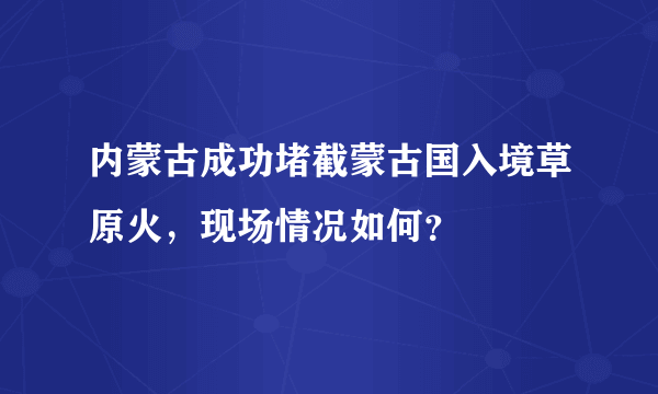 内蒙古成功堵截蒙古国入境草原火，现场情况如何？