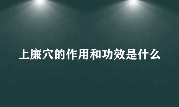 上廉穴的作用和功效是什么