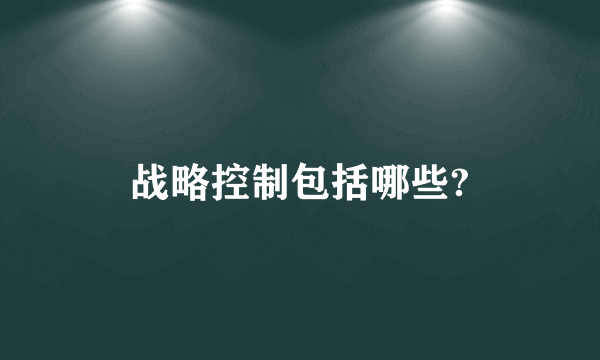 战略控制包括哪些?